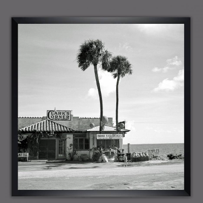 Florida Palmen Meer, Kunstdruck Poster gerahmt 53 x 53 cm, Vintage Art, Gerahmte Bilder, Schwarz weiß Fotografie, Fotokunst