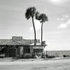 Florida Palmen Meer, Kunstdruck Poster gerahmt 53 x 53 cm, Vintage Art, Gerahmte Bilder, Schwarz weiß Fotografie, Fotokunst Bild 3