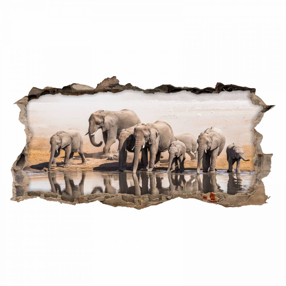 098 Wandtattoo Elefanten Familie- Loch in der Wand