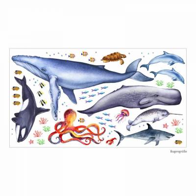 166 Wandtattoo Tiere der Meere - Blauwal, Hai, Delfin, Orca, Krake - in 6 Größen - Kinderzimmer Wanddeko Wandbild
