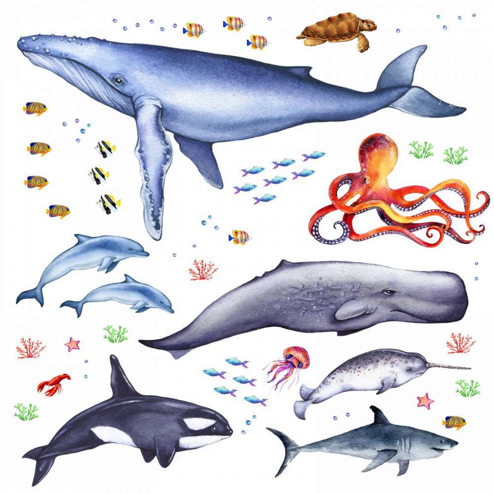 166 Wandtattoo Tiere der Meere - Blauwal, Hai, Delfin, Orca,