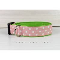 Hundehalsband mit Punkten in rosa mit weiß, mit Kunstleder in grün Bild 1