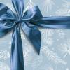 Geschenkpapier | Zapfen und Nadeln - blau Bild 3
