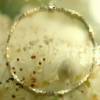 Mond-Kette aus Mondstein, Labradorit, Perle und Silber Bild 7