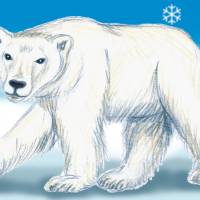 Kinderbordüre: Polarwelt Tiere  - optional selbstklebend - 11,5 cm Höhe Bild 9