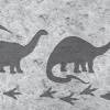 Kinderbordüre: Dino-Spuren Steinoptik - grau braun - optional selbstklebend - 18 cm Höhe Bild 10