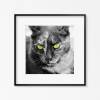 Katze Grüne Katzenaugen Kunstdruck in Schwarz-Weiß, Fotografie und Wanddekoration mit dem Namen "Cat", 30 x 30 cm, 20 x 20 cm, 13 x 13 cm Bild 2