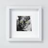Katze Grüne Katzenaugen Kunstdruck in Schwarz-Weiß, Fotografie und Wanddekoration mit dem Namen "Cat", 30 x 30 cm, 20 x 20 cm, 13 x 13 cm Bild 4