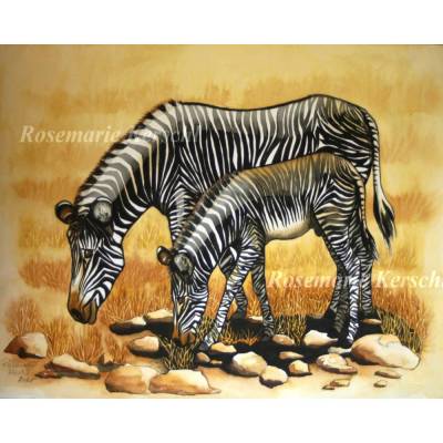 Zebra mit Fohlen Aquarellbild handgemalt 50 x 70 cm groß in Querformat
