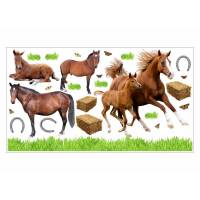 003 Wandtattoo Pferd mit Fohlen Pony reiten Gras Wiese Hufeisen in 6 Größen - Kinderzimmer Sticker Babyzimmer Pferde Wandaufkleber Bild 1