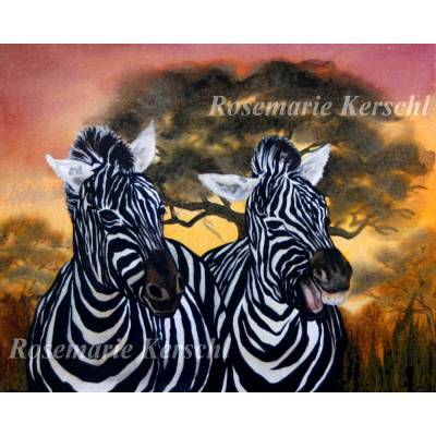 Lachende Zebras Aquarellbild handgemalt 36 x 48 cm groß in Querformat
