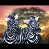 Lachende Zebras Aquarellbild handgemalt 36 x 48 cm groß in Querformat Bild 2