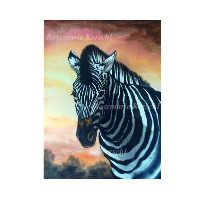 Zebra Aquarellbild handgemalt 48 x 36 cm groß in Hochformat