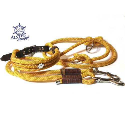 Leine Halsband Set gelb orange, für mittelgroße Hunde, verstellbar