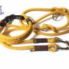 Leine Halsband Set gelb orange, für mittelgroße Hunde, verstellbar Bild 2