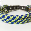 Leine Halsband Set blau gelb, für mittelgroße Hunde, verstellbar Bild 5