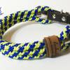 Leine Halsband Set blau gelb, für mittelgroße Hunde, verstellbar Bild 6