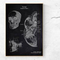 The Scull - Patent-Style - Anatomie-Poster Bild 1