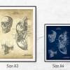 The Scull - Patent-Style - Anatomie-Poster Bild 5