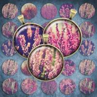 266 - Cabochon Vorlagen, 25mm 18mm 14mm 12mm, rund, Cabochon Motive, Bottle Cap images Blüten Herbst Blumen rosa Bild 1