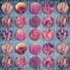 266 - Cabochon Vorlagen, 25mm 18mm 14mm 12mm, rund, Cabochon Motive, Bottle Cap images Blüten Herbst Blumen rosa Bild 2