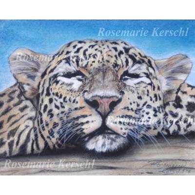 Schlafenden Leopard Pastellkreidebild handgemaltes Tierporträt 30 x 40 cm in Querformat