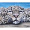 Schlafenden Leopard Pastellkreidebild handgemaltes Tierporträt 30 x 40 cm in Querformat Bild 3
