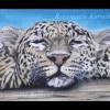 Schlafenden Leopard Pastellkreidebild handgemaltes Tierporträt 30 x 40 cm in Querformat Bild 4