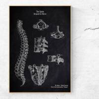 The Spine - Patent-Style - Anatomie-Poster Bild 1