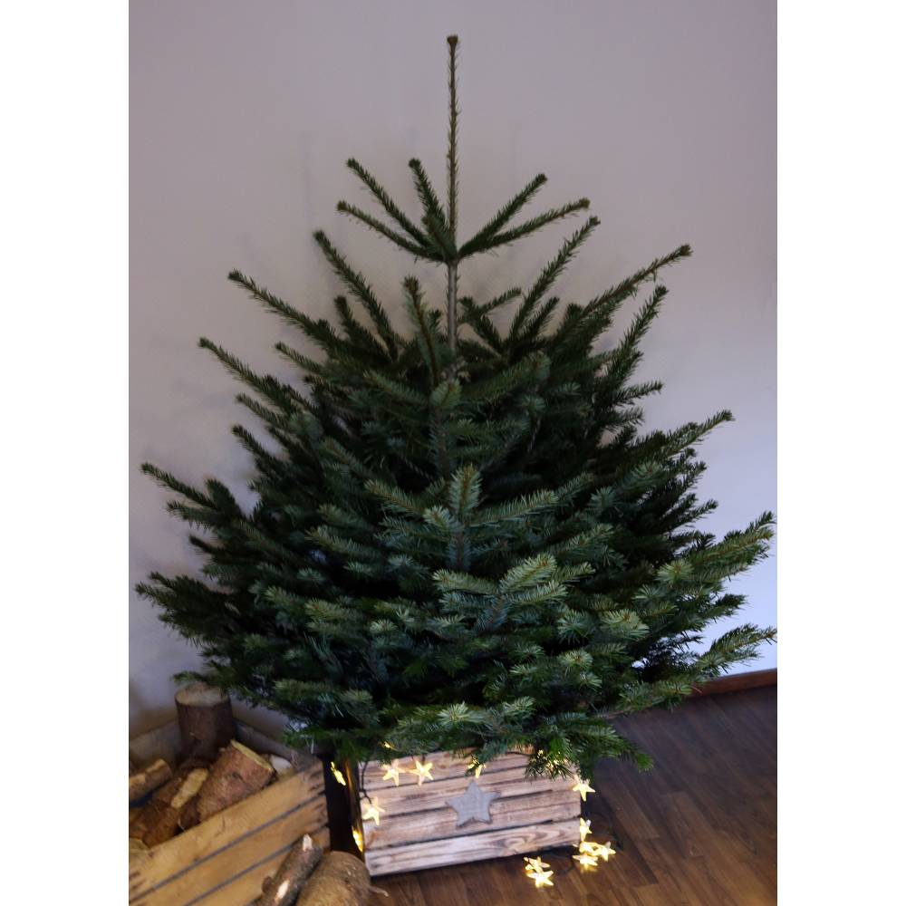 Ständer für Christbaum mit Engel-motiv Christbaumständer/Weihnachtstbaumständer