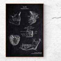 The TMJ - Patent-Style - Anatomie-Poster Bild 1