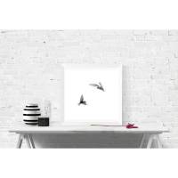 Seeschwalben im Flug auf weißem Hintergrund, Vögel Fotografie und edler Kunstdruck, 13 x 13 cm 20 x 20 cm 30 x 30 cm Bild 1