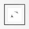 Seeschwalben im Flug auf weißem Hintergrund, Vögel Fotografie und edler Kunstdruck, 13 x 13 cm 20 x 20 cm 30 x 30 cm Bild 2
