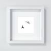 Seeschwalben im Flug auf weißem Hintergrund, Vögel Fotografie und edler Kunstdruck, 13 x 13 cm 20 x 20 cm 30 x 30 cm Bild 4