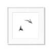 Seeschwalben im Flug auf weißem Hintergrund, Vögel Fotografie und edler Kunstdruck, 13 x 13 cm 20 x 20 cm 30 x 30 cm Bild 5