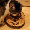 Rustikaler FUTTERNAPF aus einer BAUMSCHEIBE mit WUNSCHNAME Geschenk aus Holz Hund Katze Fressnapf Katzennapf Edelstahl Personalisiert Gravur Bild 3