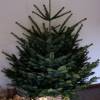 RUSTIKALE WEIHNACHTSBAUMSTÄNDER alte OBSTKISTE Christbaum Ständer aus Holz Weihnachtsdeko Vintage Holzkiste Baumhalter W Bild 3