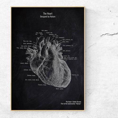 The Heart - Patent-Style - Anatomie-Poster