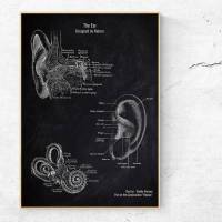 The Ear - Patent-Style - Anatomie-Poster Bild 1