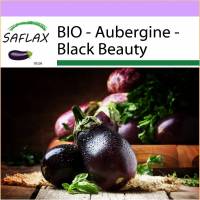 SAFLAX - BIO - Aubergine - Black Beauty - 25 Samen - Solanum melongena Bild 1