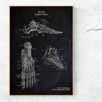 The Foot No. 2 - Patent-Style - Anatomie-Poster Bild 1