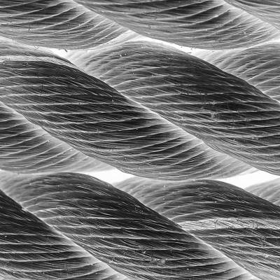 Trosse Fotografie Kunstdruck Aluminiumdibond Butlerfinish