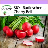 SAFLAX - BIO - Radieschen - Cherry Bell - 100 Samen - Raphanus sativus Bild 1