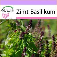 SAFLAX - Kräuter - Zimt-Basilikum - 200 Samen - Ocimum basilicum Bild 1