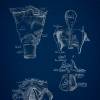 The Larynx - Patent-Style - Anatomie-Poster Bild 3