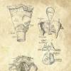 The Larynx - Patent-Style - Anatomie-Poster Bild 4