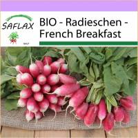 SAFLAX - BIO - Radieschen - French Breakfast - 150 Samen - Raphanus sativus Bild 1