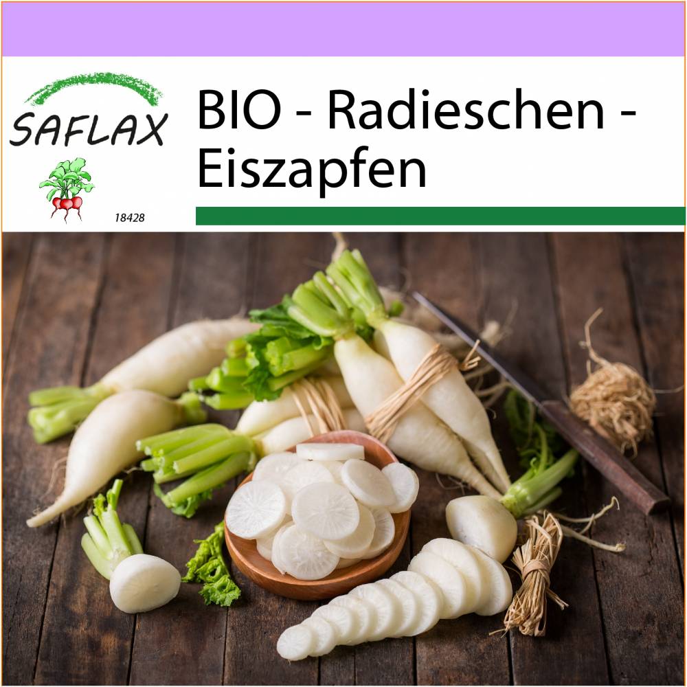 SAFLAX - BIO - Radieschen - Eiszapfen - 100 Samen - Raphanus sativus Bild 1
