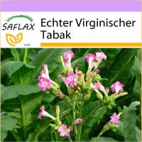SAFLAX - Echter Virginischer Tabak - 250 Samen - Nicotiana tabacum Bild 1