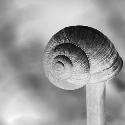 Gehäuse Fotografie Kunstdruck Aluminiumdibond Butlerfinish